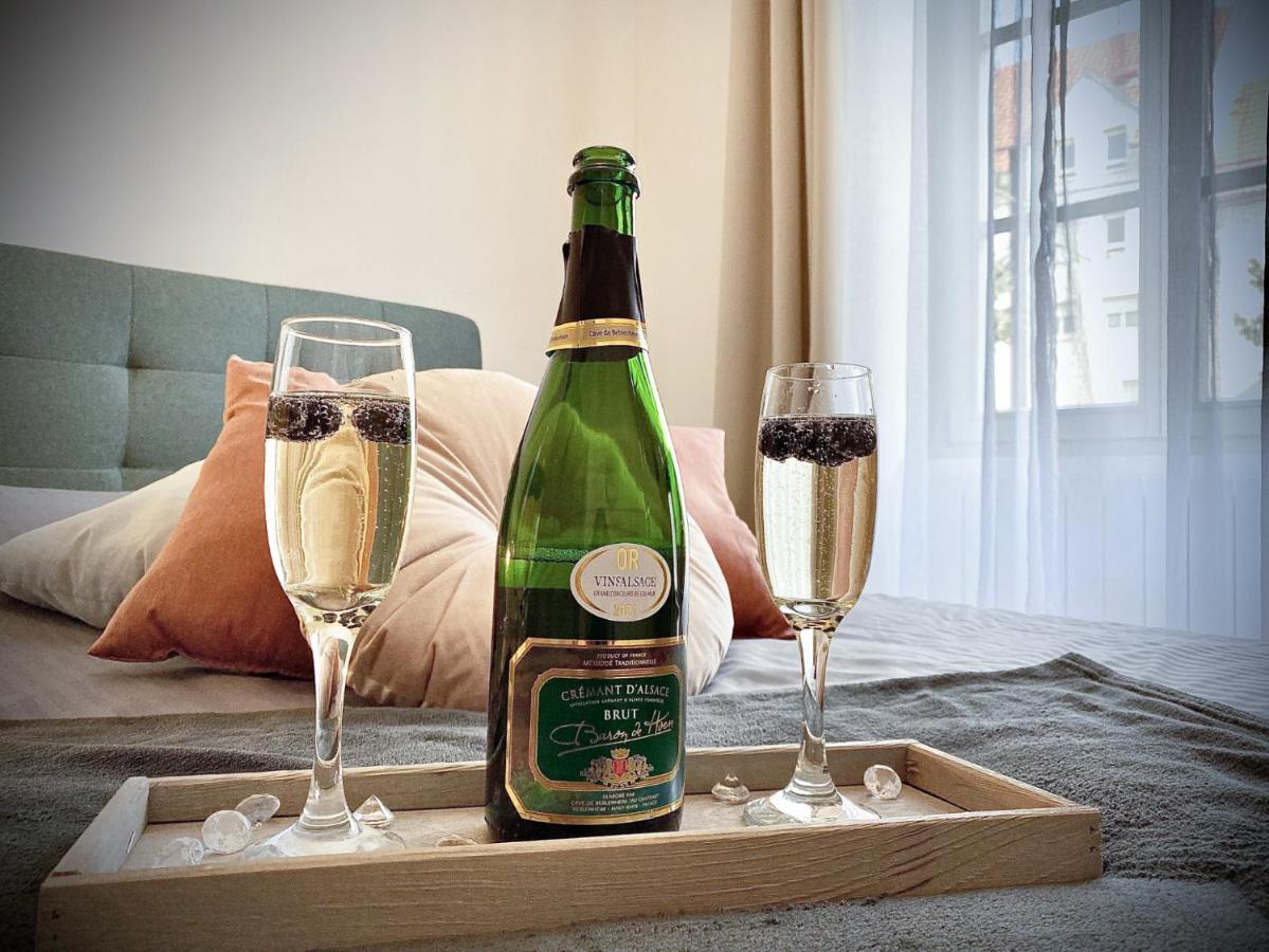 Le Convivial, Appartement Centre Ville Mulhouse Oda fotoğraf